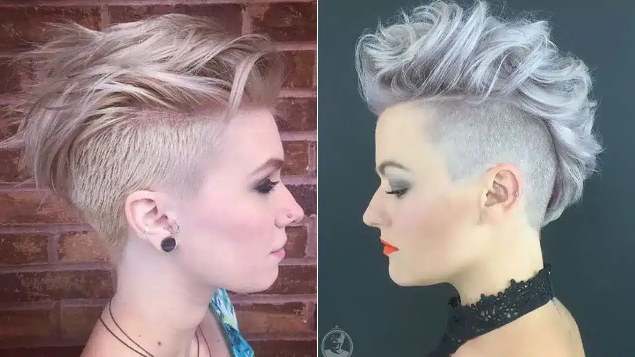 Mohawk Ladies Hair style