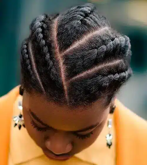 top view of head of a lady having Flat Twists  