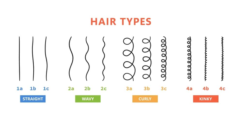 Classification,Of,Hair,Types, ,Straight,,Wavy,,Curly,,Kinky.,Scheme