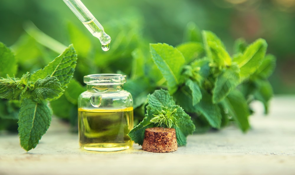 Peppermint essential oil in a small bottle.