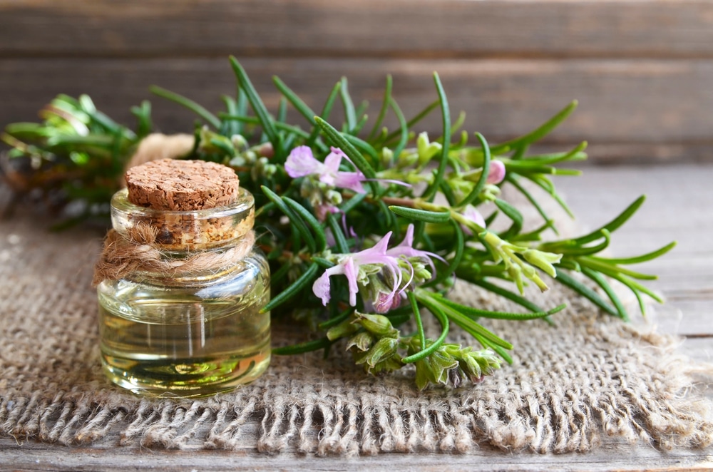 Rosemary,Essential,Oil,In,A,Glass,Bottle,With,Fresh,Green